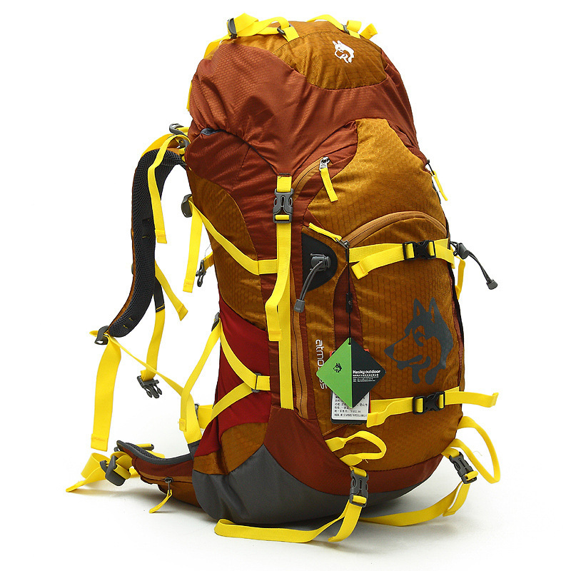 Jungle King outdoor camping ba – Mountain Biking Backpack recenzja i cena